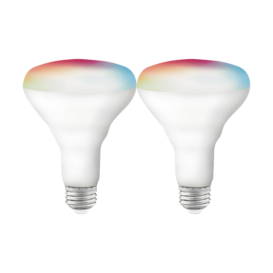 9.5BR30/LED/RGB/TW/SF/2PK