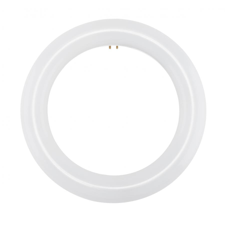 FC8T9/LED/CIR/830/BP