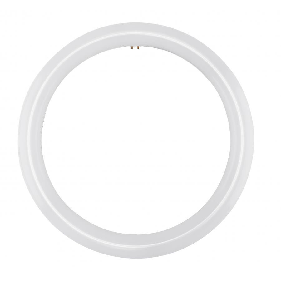 FC12T9/LED/CIR/840/BP