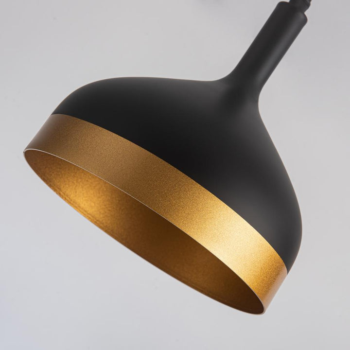 Dash Collection 1-Light Pendant, Black & Gold