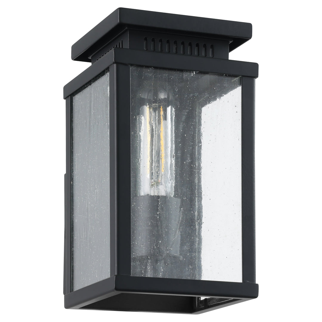 1L Exterior Wall Sconce