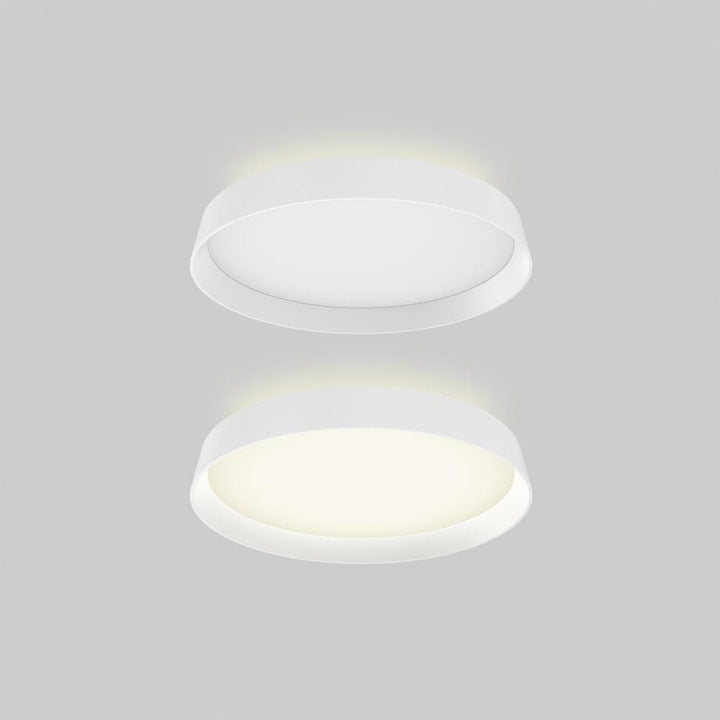 Aurora 12 Inch Dual-Light Dimmable LED Flush Mount