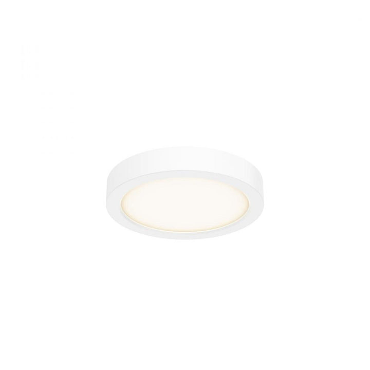 6 Inch Round Indoor/Outdoor LED Flush Mount