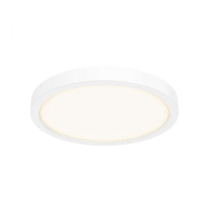 10 Inch Round Indoor/Outdoor LED Flush Mount
