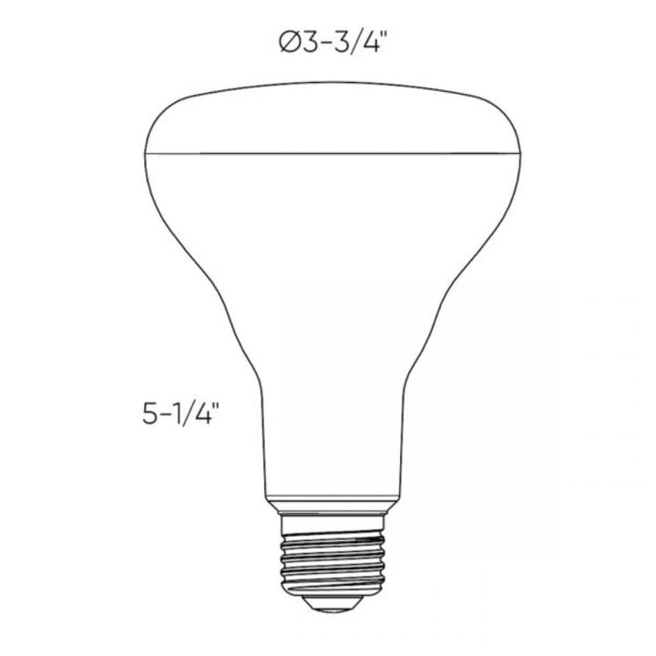 DCPro Smart BR30 LED Bulb