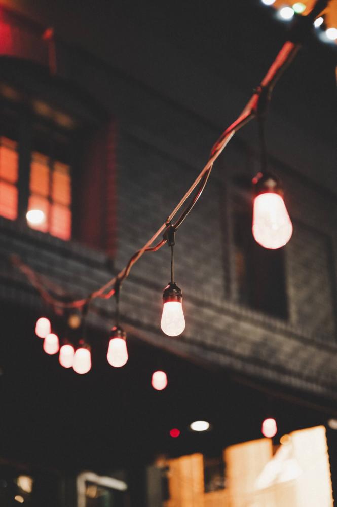 DALS CONNECT PRO Smart outdoor string light RGB+CCT 48', 15 Lights