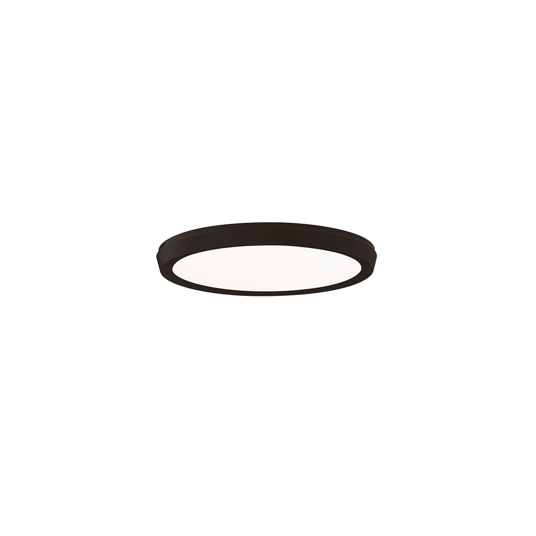 Argo Flush Mount Light