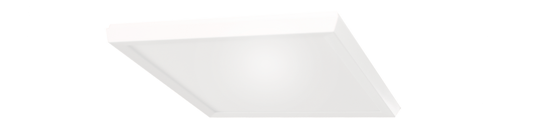 Logo Flush Mount Light