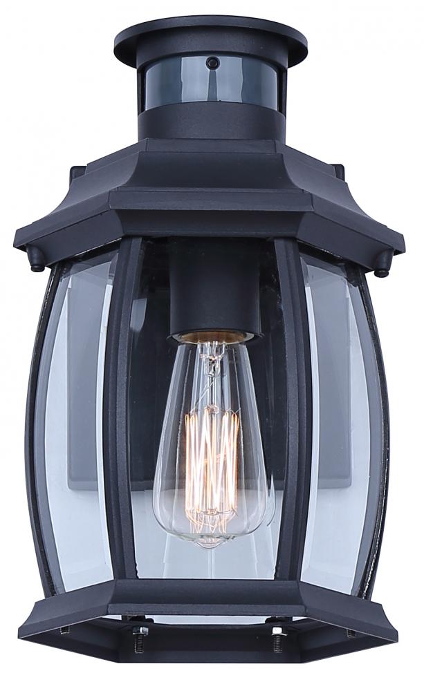 Buckly Outdoor Light