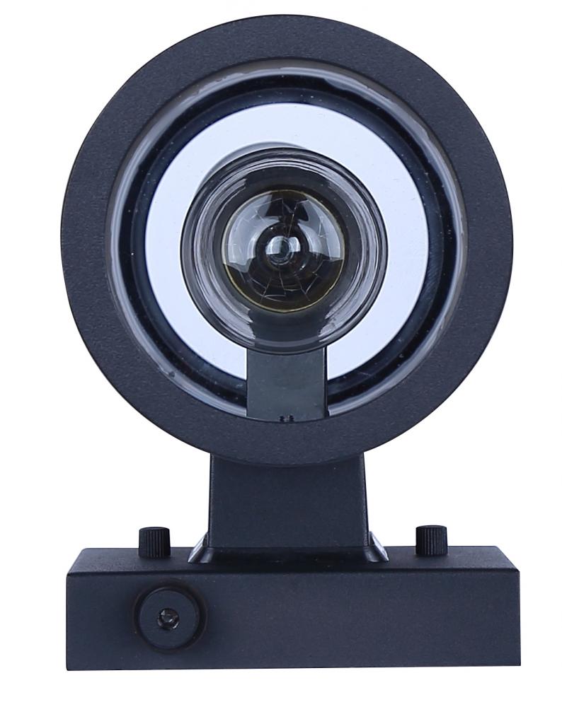 Braxton Outdoor Light