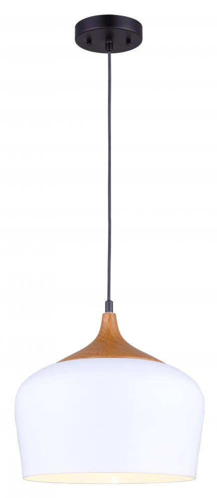 Raphael 1 Light Pendant, White Finish