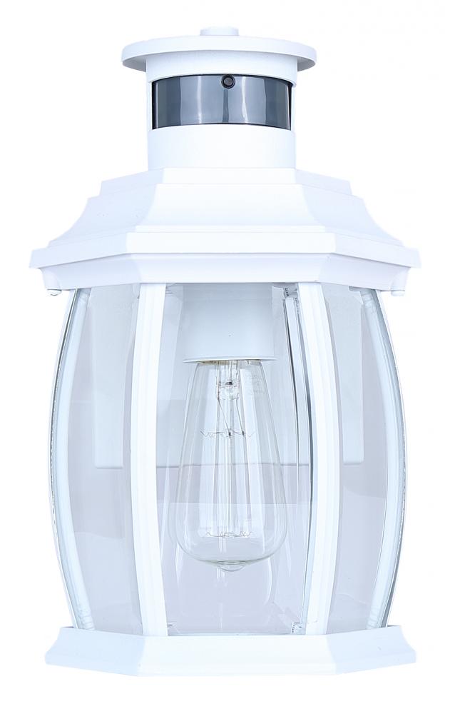 Buckly Outdoor Light