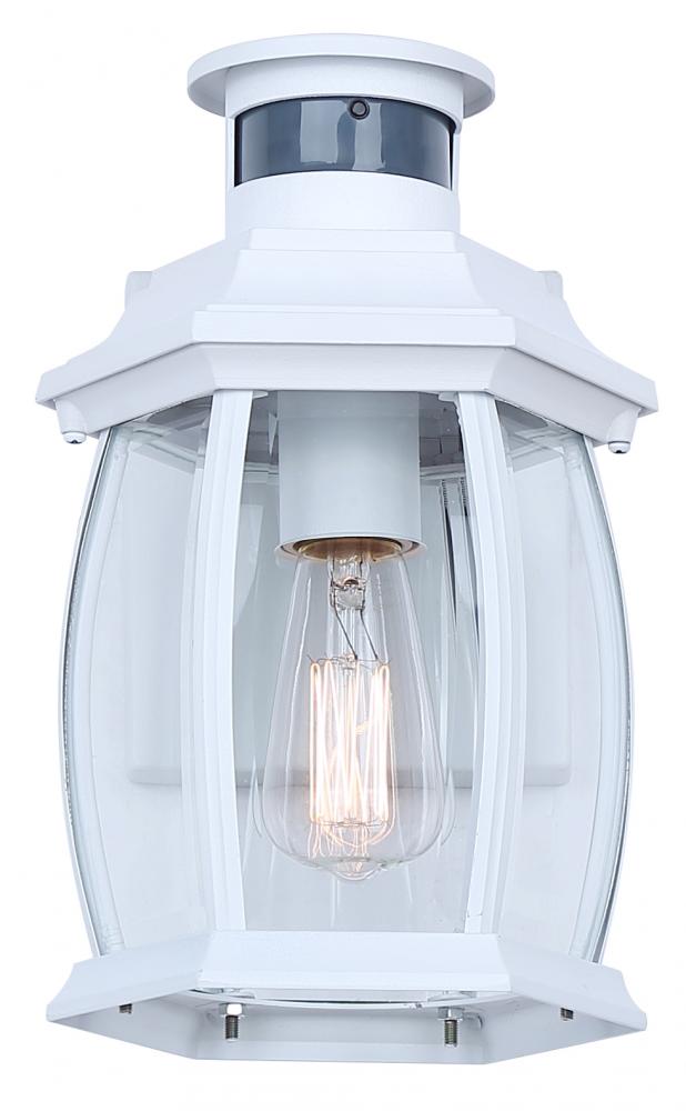 Buckly Outdoor Light