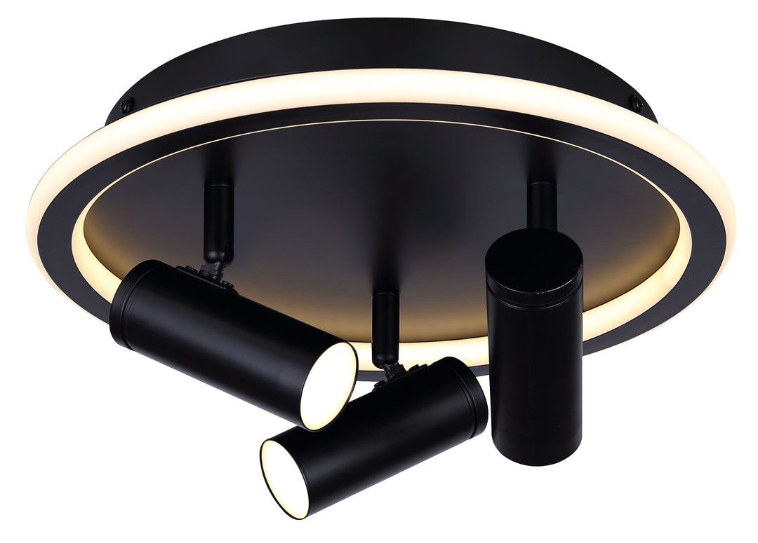 Denver 3 Light LED Ceiling/Wall Light