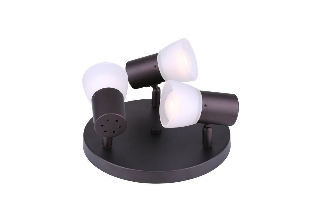 HUDSON, ICW517A03ORB