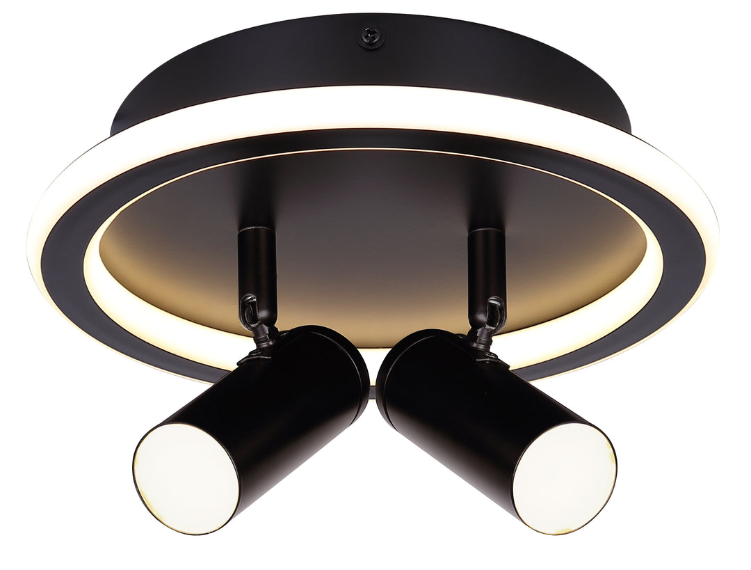 Denver 2 Light Black Ceiling/Wall Light