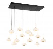 Lib & Co. CA 10200-02 - Adelfia, 14 Light Rectangular LED Chandelier, Matte Black