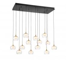 Lib & Co. CA 10218-02 - Manarola, 14 Light Rectangular LED Chandelier, Matte Black