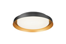 Matteo Lighting M15601BK - Vieno Black Flush Mounts