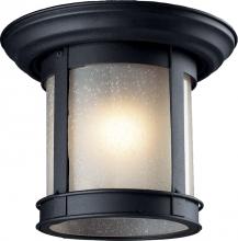 OUTDOOR FLUSH MOUNT