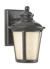 Generation Lighting 88240D-780 - Cape May Small One Light Outdoor Wall Lantern
