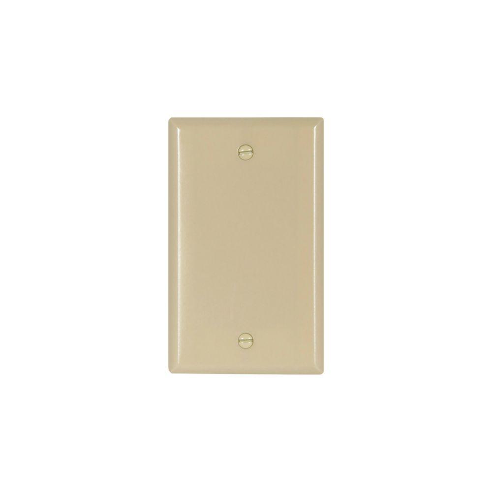Wallplate 1G Blank Thrmst Box Mt Std IV