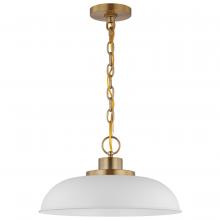 Satco 60/7480 - COLONY 1 LIGHT SMALL PENDANT