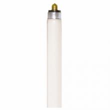 Satco S6592 - F64T6/CW/TF SHATTER PROOF