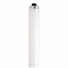 Satco S6595 - F48T12/CW/VHO/TF SHATTER PROOF