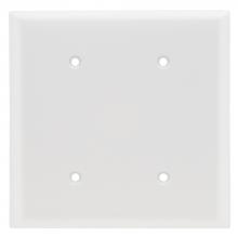 Legrand-Pass & Seymour SP24W - SMOOTH WALL PLATE 2G BLNK STRAP MT W