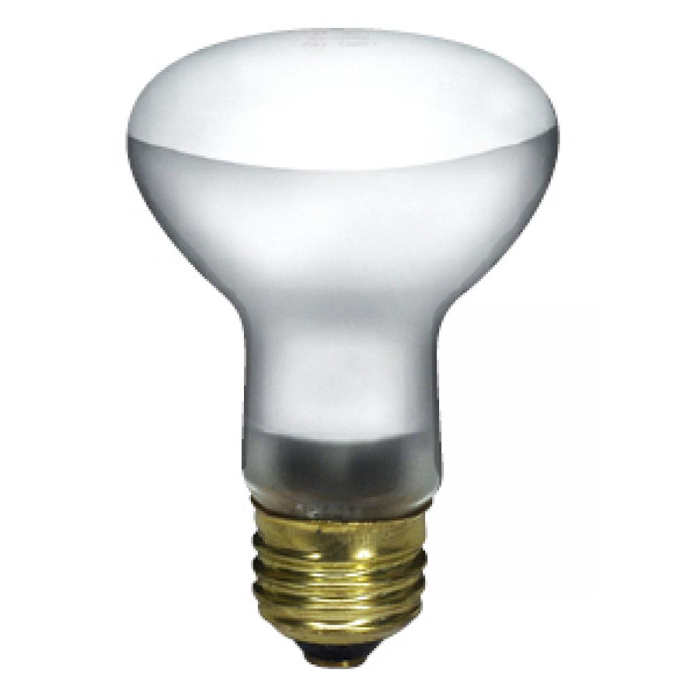 30R20/FL/2M/120V/STD BLX