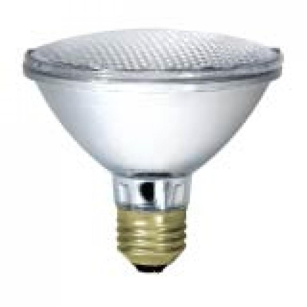 H65PAR30/FL/5M/120V