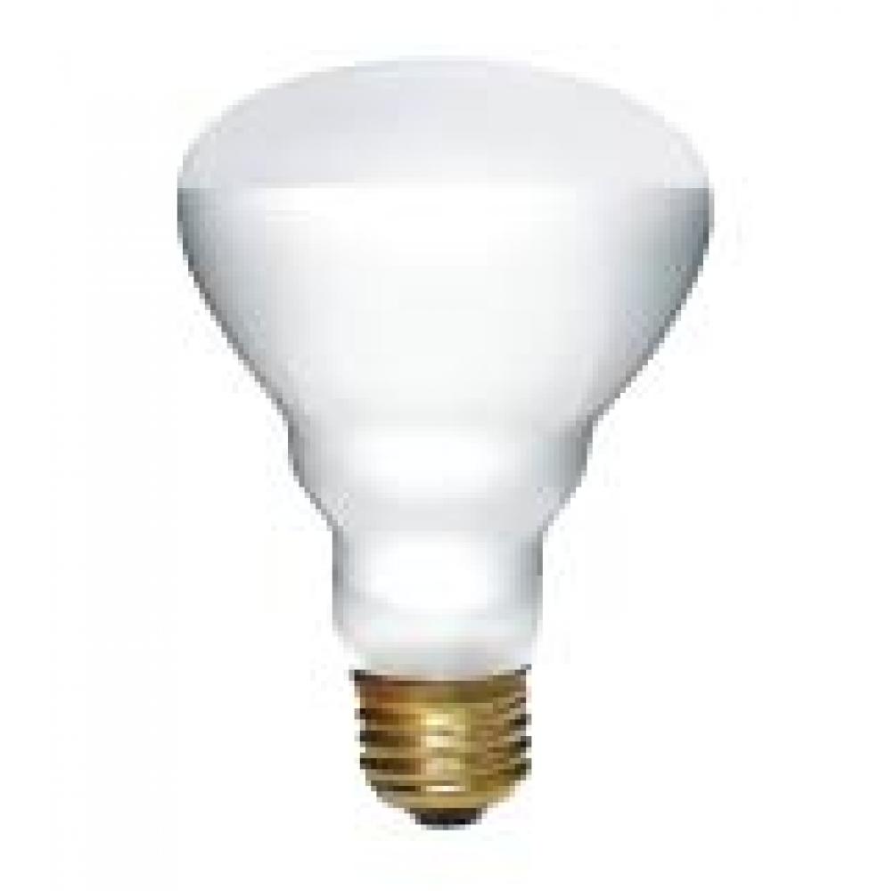 100BR25/FL/5M/130V/STD