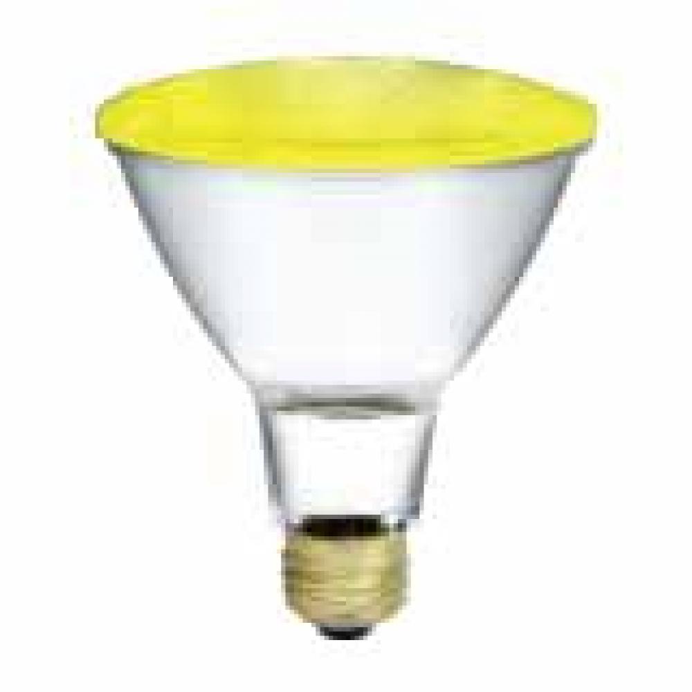 H50PAR30/LN/FL/Y/2M/130V/STD