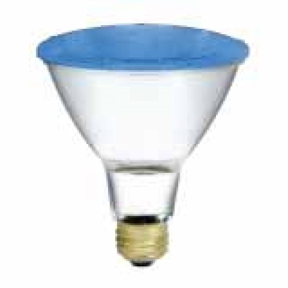 H50PAR30/LN/FL/B/2M/130V/STD