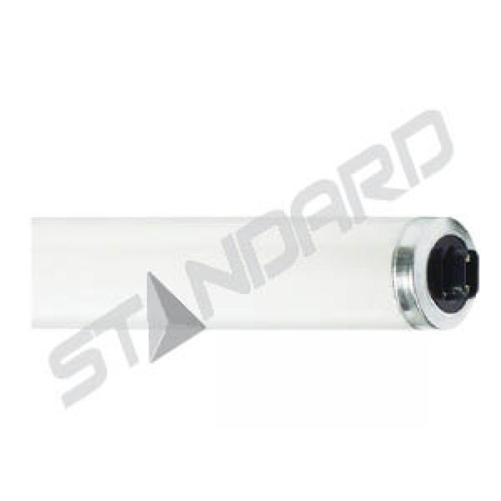 F60T12/HO/RS/R17d MLP