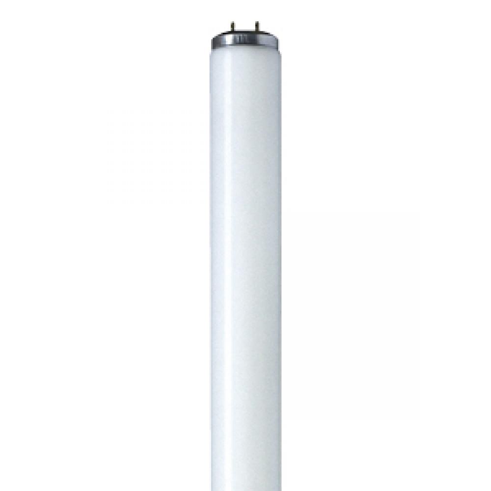 F40T12/WW/RS/G13/METRIC