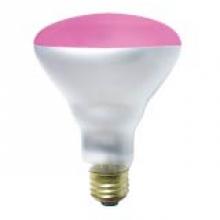 Standard Products 52030 - 75BR30/P/FL/5M/130V/STD