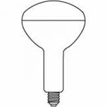 Standard Products 15113 - 300WSB/R40FL EYE