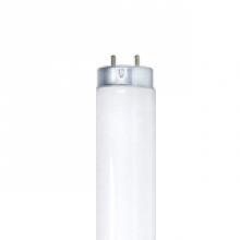 Standard Products 10822 - F20T10/DL/PH/G13