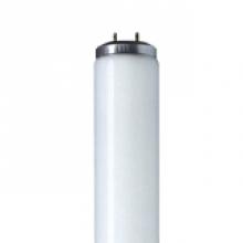 Standard Products 10868 - F40T12/N/RS/G13