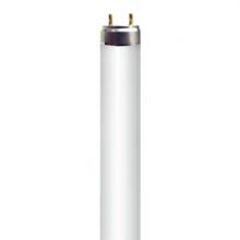 Standard Products 16039 - F70W/T8/840