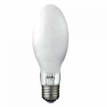 Standard Products 10541 - 250WSB/E28(MED) EYE