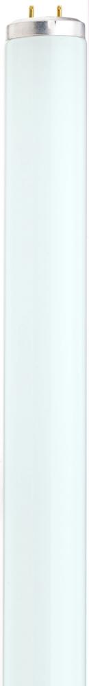40 Watt; T12; Fluorescent; 3400K Neutral White; Medium Bi Pin base