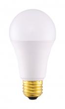 Satco Products Inc. S11310 - 10A19/LED/830/LHT