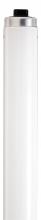 Satco Products Inc. S26670 - 60 Watt; T12 Rapid Start Fluorescent; 4100K Cool White; 80 CRI; Recessed Double Contact HO/VHO