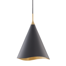 Hudson Valley 9613-GL/BLK - 1 LIGHT SMALL PENDANT