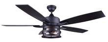 Ceiling Fans with Light