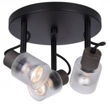 Canarm ICW1198A03BKW10 - Owen 3 Light Ceiling/Wall Light
