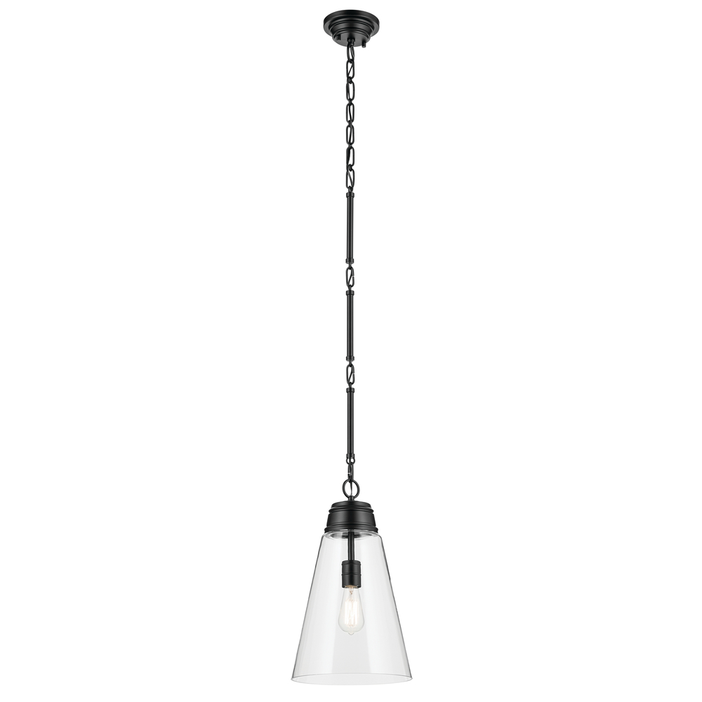 Marsailli 19&#34; 1-Light Medium Pendant with Clear Glass in Black